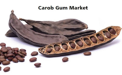 Carob Gum Market