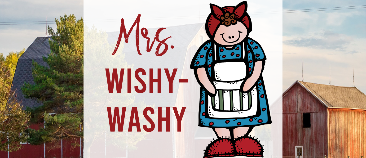 Mrs Wishy Washy book activities unit with literacy printables, reading comprehension activities, lesson ideas, companion worksheets for Kindergarten and First Grade