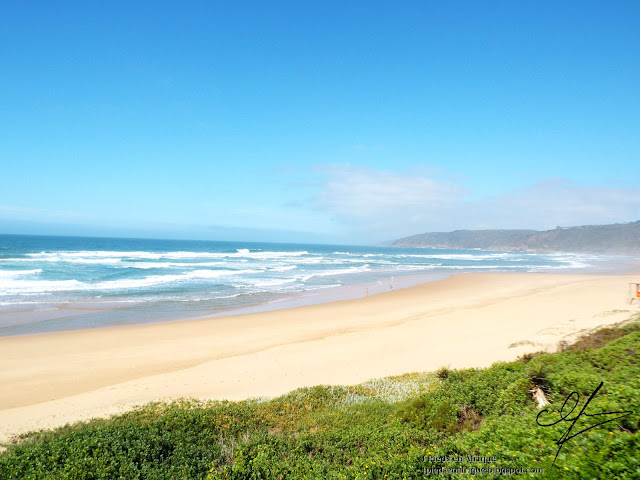 La plage de Wilderness