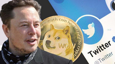 Elon Musk Ubah Logo Twitter dari Burung Biru Menjadi Anjing Dogecoin, Ada Apa?