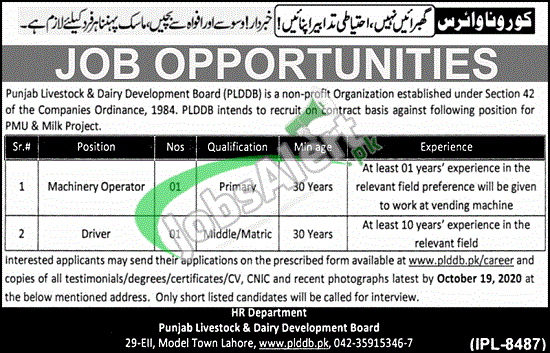 punjab-livestock-dairy-development-board-plddb-jobs-2020-apply-online