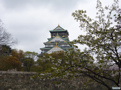 大阪城と桜