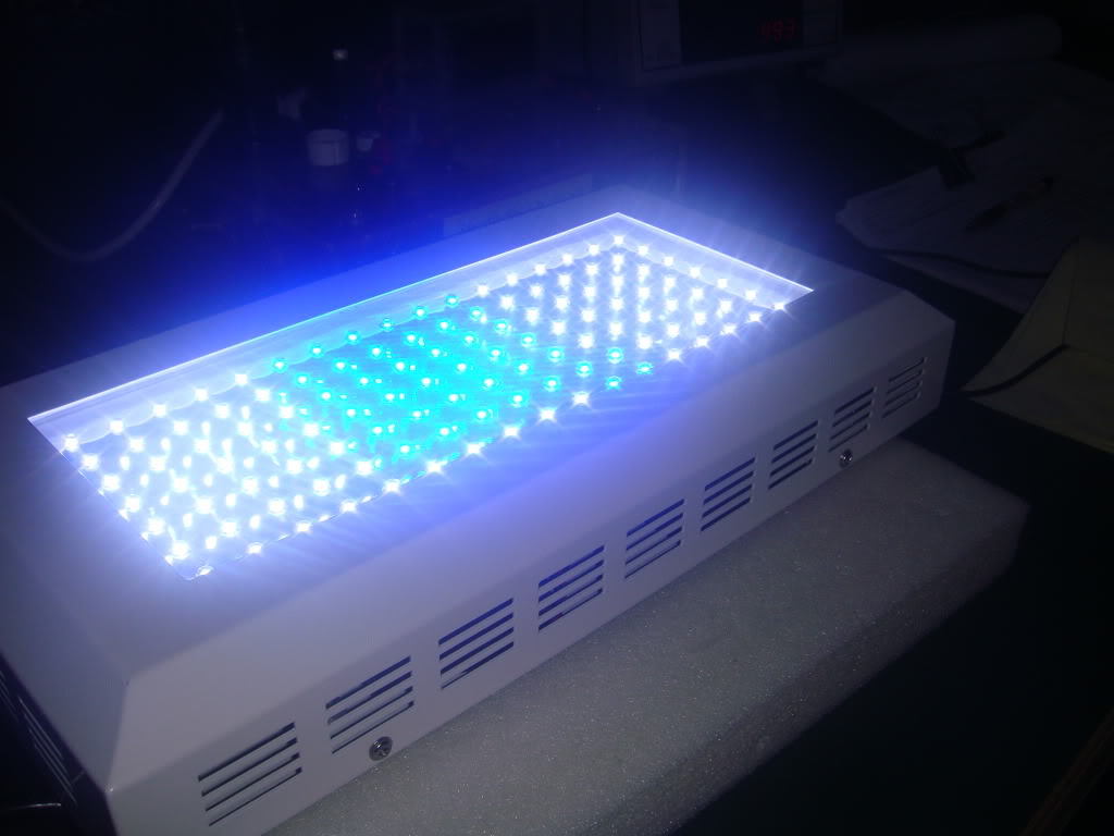 Rangkain lampu LED dengan tegangan 12 V Semesta Alam
