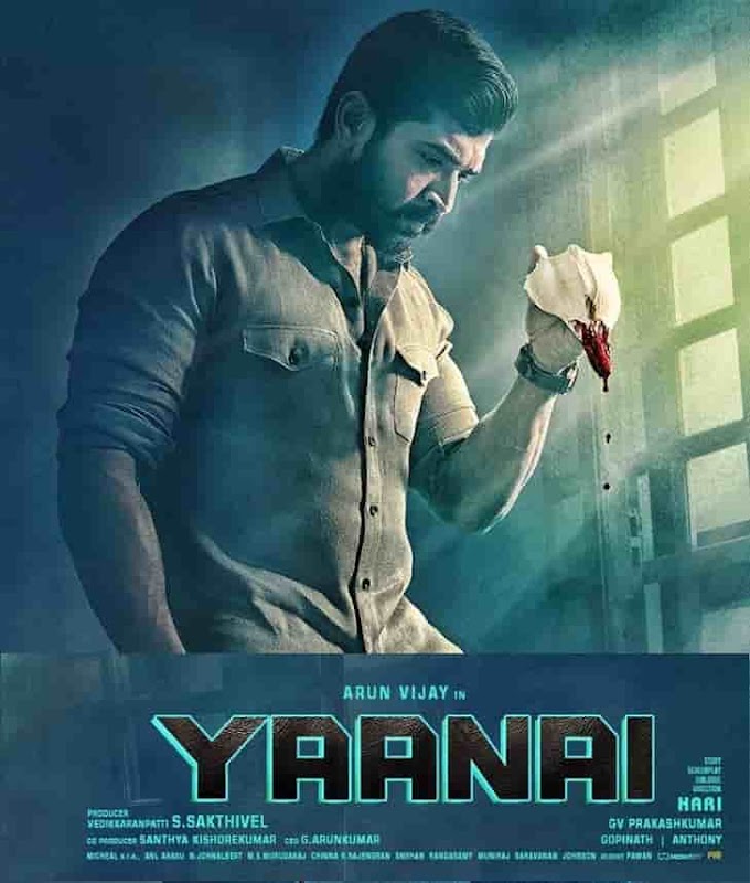 Yaanai Full Movie Download  Hindi Dubbed Tamil (2022) 480p | 720p |1080p 