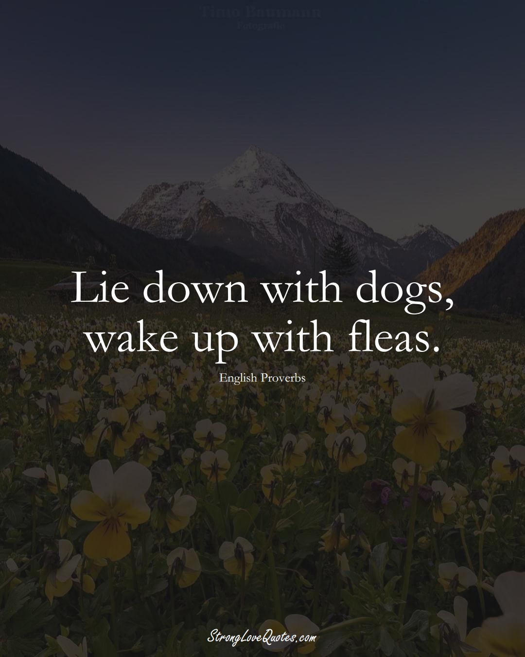 Lie down with dogs, wake up with fleas. (English Sayings);  #EuropeanSayings