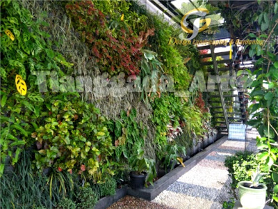 Tukang Taman Surabaya || Desain Taman Surabaya || vertical garden || taman vertical