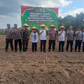 Serentak Diseluruh Indonesia, Kadis Pertanian dan Perikanan Muratara Lakukan Penanaman Jagung