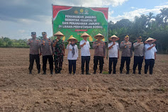 Serentak Diseluruh Indonesia, Kadis Pertanian dan Perikanan Muratara Lakukan Penanaman Jagung