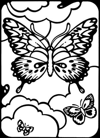 Butterfly Coloring Pages  - butterfly coloring pages for kids