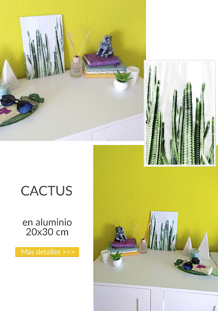 cuadro de cactus
