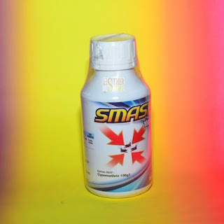 Smash 100EC Insektisida Cypermethrin