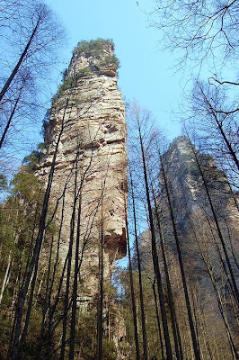 southern sky column mountains in the zhangjiajie national forest park china El Parque Forestal Nacional de Zhangjiajie, China bosque Pandora extraterrestre de Avatar.