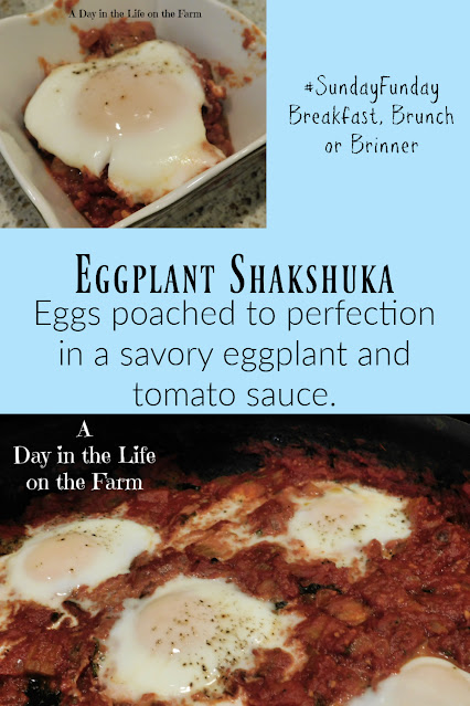 Eggplant Shakshuka pin