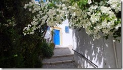 Schöner Spaziergang durch Sidi Bou Said