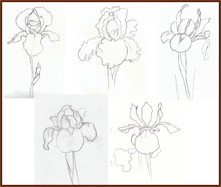 Weekly : Doodles and tuts: How to draw an Iris flower: Method 2