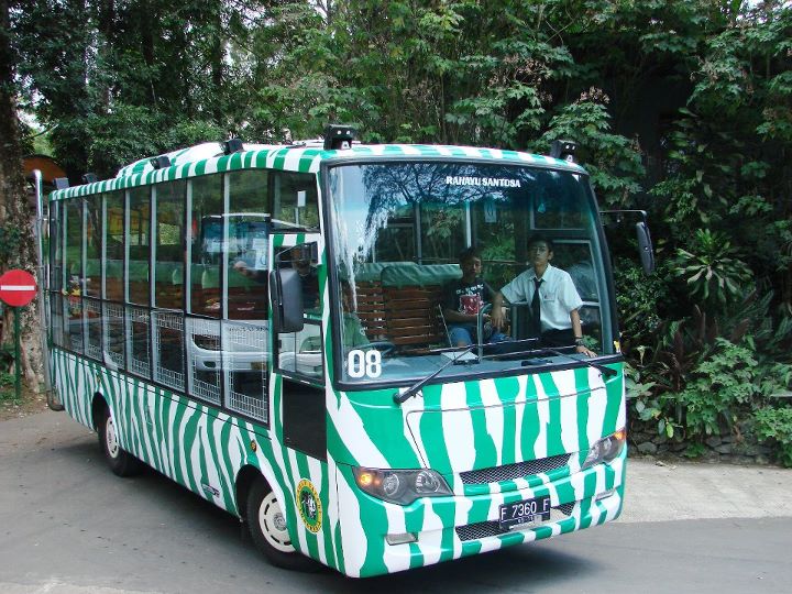Garasibis: Bus Kebun Binatang  Taman Safari Indonesia