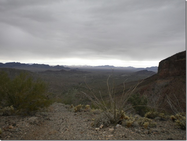 01-24-13 A Quartzsite 009