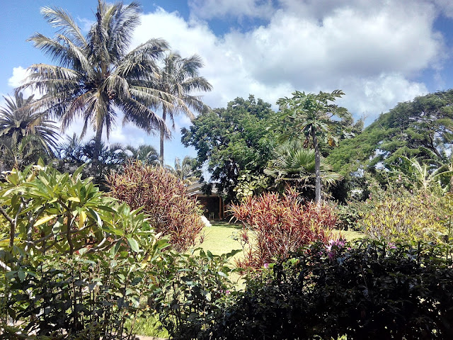 Vegetación Isla de Pascua