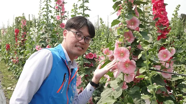 ▲員林市公所主秘賴冠宇表示，今年活動除了延續去年有的小魔女「小葵」、兔子「蜀來寶」人物造型外，也將員林燈會的燈飾移置到活動現場，歡迎全國民眾來員林欣賞蜀葵花、吃美食，晚上還可以賞花燈。 （記者林明佑攝）