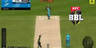 Best Offline Cricket Games for Android