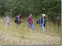 mt st helens hike 19