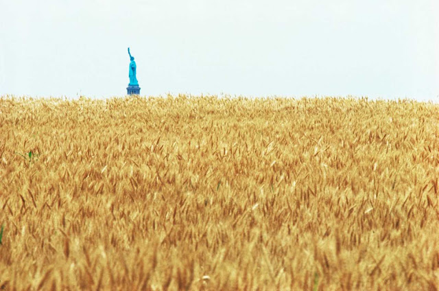 Campo de trigo en Nueva York - 1982