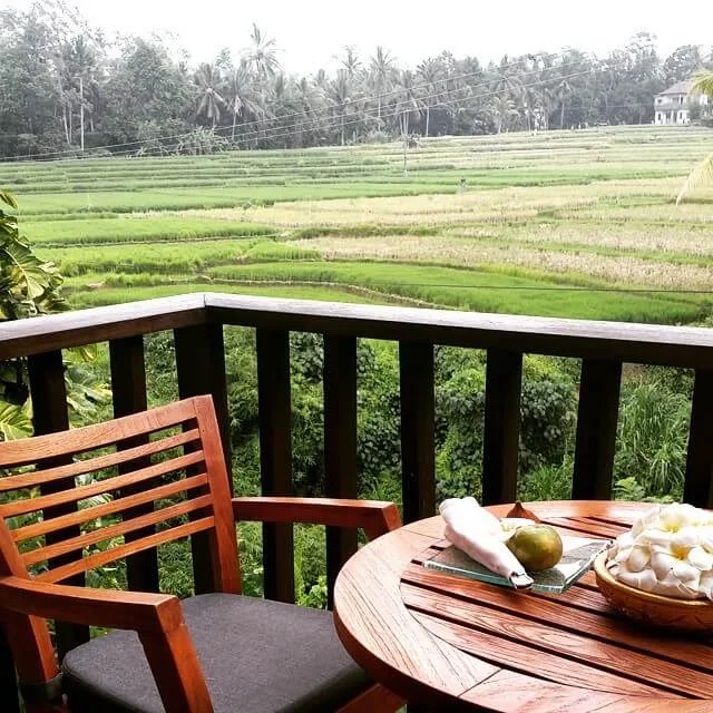 photo paddies view in maya ubud