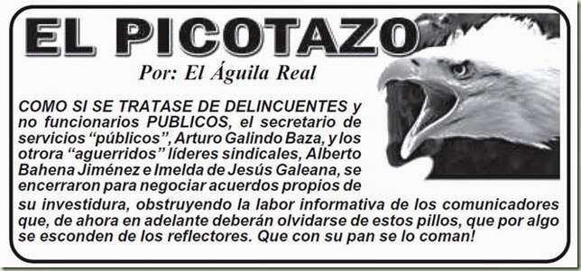 Picotazo090714