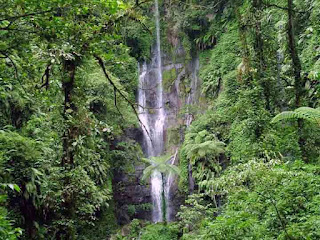 air terjun di banyuwangi