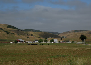 Dairy farm near Fallon, California