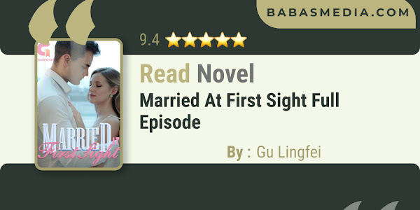 Read Married at First Sight Novel By Gu Lingfei / Synopsis