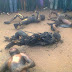 OUTRAGEOUS: 8 Christian Students Burnt To Death In Zamfara Polytechnic For Speaking Against Prophet Muhammad.