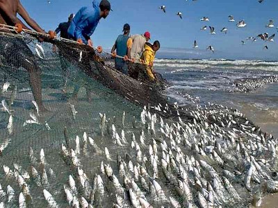 Peralatan tradisional untuk  menangkap  ikan  yang masih di 