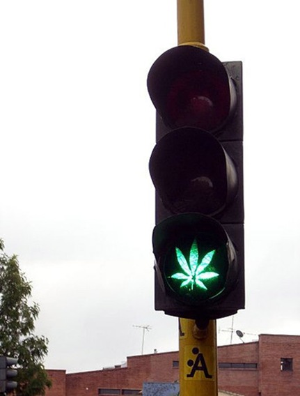 Semaforo de Maconha