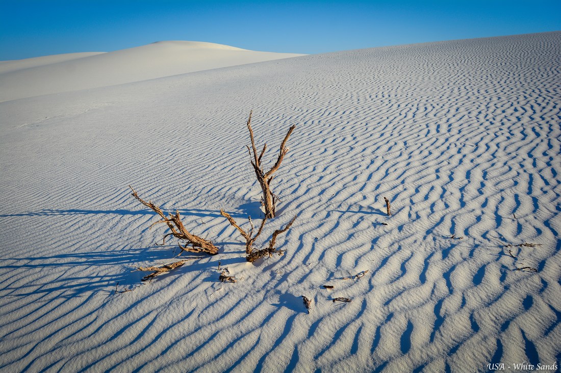 white sands NP