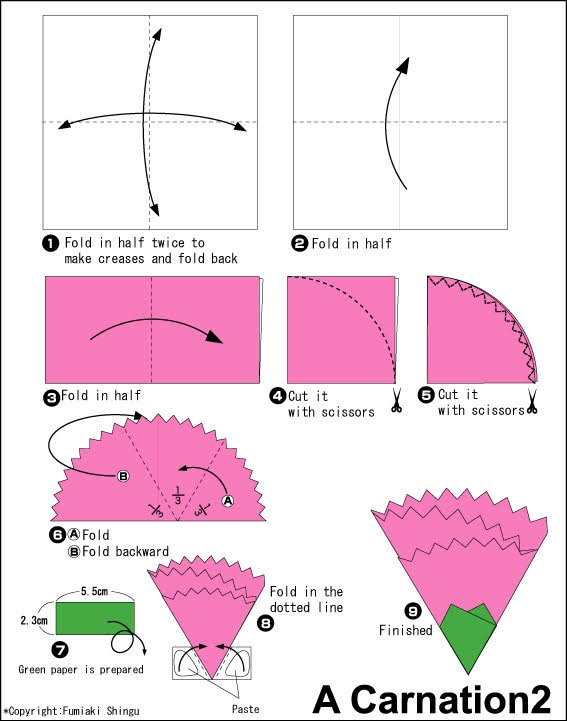 කානේෂන් මල හදමු (Origami Canation Flower) - Your Choice Way