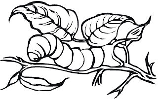 caterpillar coloring pages,butterfly caterpillar coloring pages