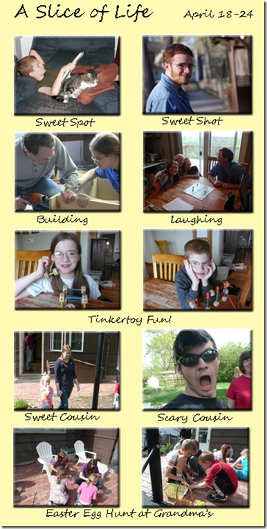 Photo Collage #1