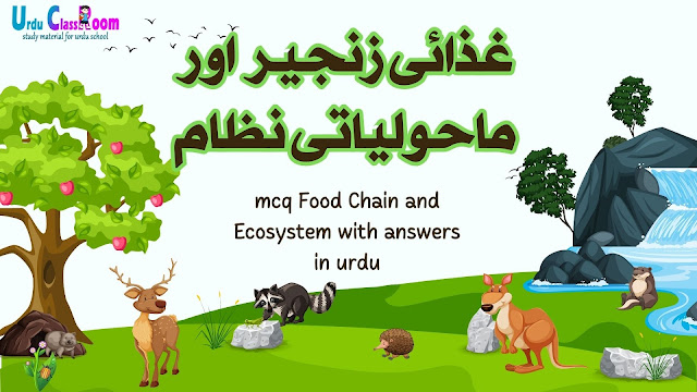 mcq Food Chain and Ecosystem along with the answers in urdu