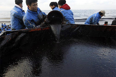 Oil Ship Accident, South Korea Effect on Birds 2008