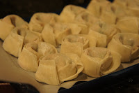 wonton wrapper