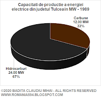 Surse de generare a energiei electrice din judetul Tulcea in MW in anul 1989