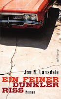 Ein feiner dunkler Riss - Joe R. Lansdale