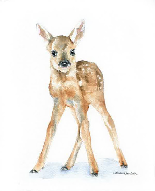 animal watercolour paintings