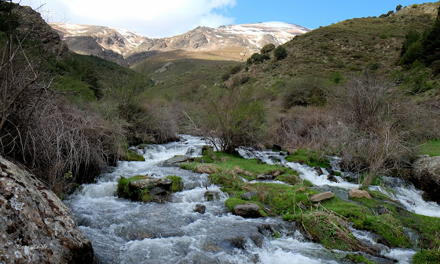 Jérez del Marquesado, Barranco el Alhorí, Tajos de Carboneras, Sierra Nevada, Picón