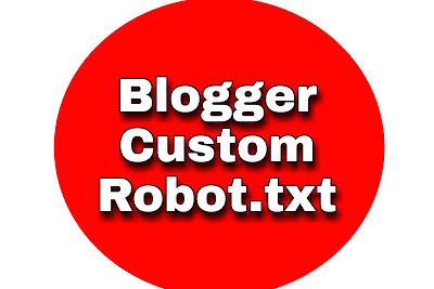 Custom Robots.txt