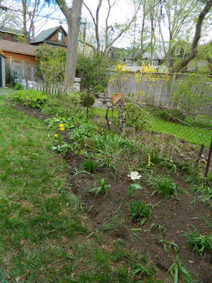 Riverdale Backyard Garden Spring Cleanup After by Paul Jung Gardening Services--a Toronto Gardening Company