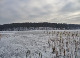 Liepnitzsee