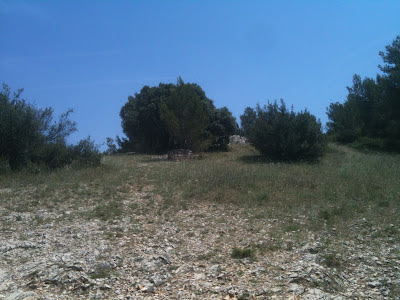 Moulins de Daudet à Fontvieille