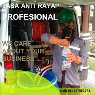 Jasa Anti Rayap di Bali